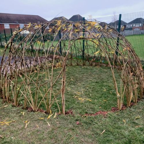 The first of some new willow structures ...