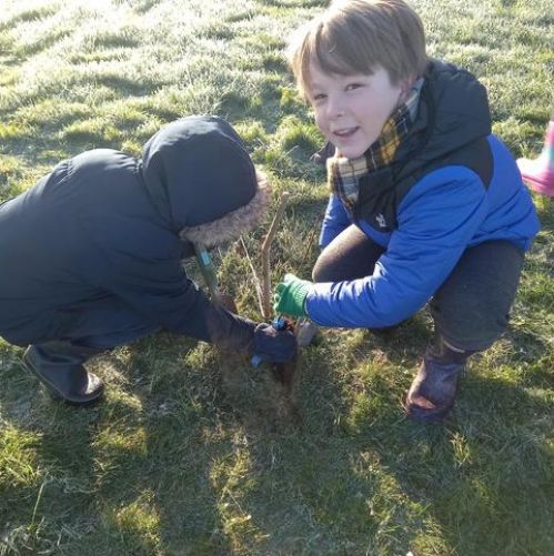 Community Tree Planting Day